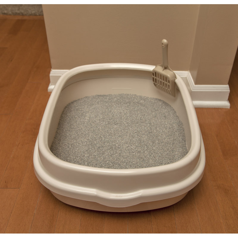 IRIS Plastic Standard Litter Box with Scoop & Reviews Wayfair